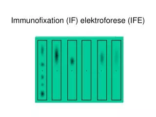 Immunofixation (IF) elektroforese (IFE)