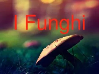 i funghi