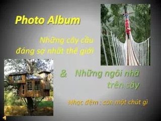 photo album