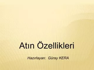 at n zellikleri