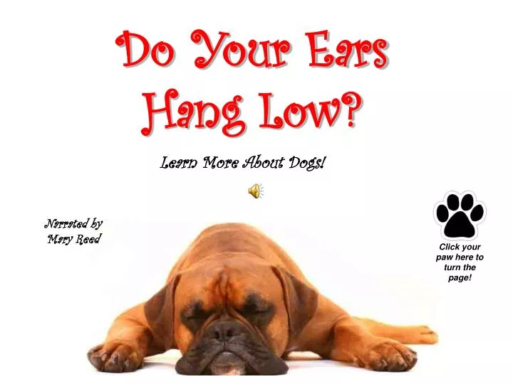 do your ears hang low