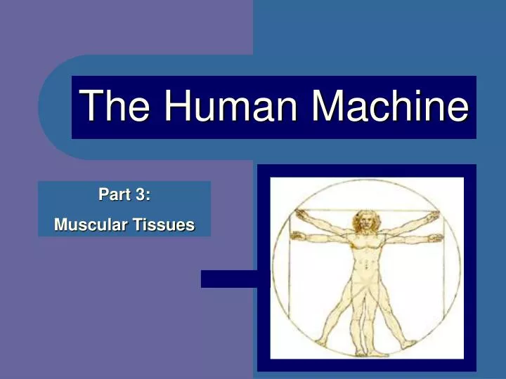 the human machine