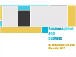 Business plans and budgets