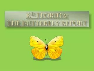 K 12 Florida: The Butterfly Report