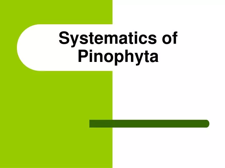 systematics of pinophyta