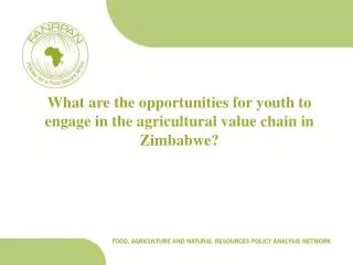 What are the opportunities for youth to engage in the agricultural value chain in Zimbabwe?