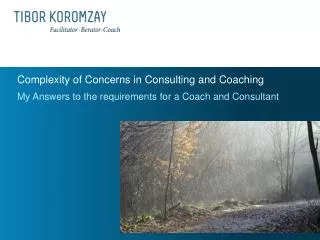 Complexity of Concerns in Consulting and Coaching