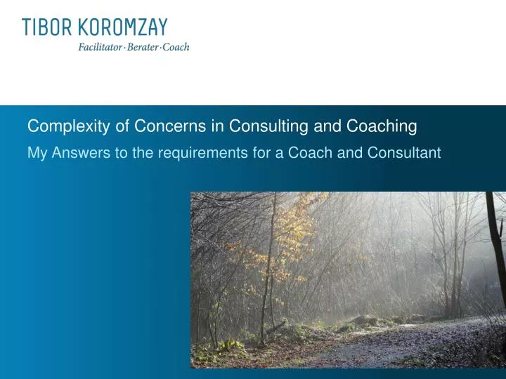 complexity of concerns in consulting and coaching