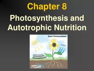 chapter 8