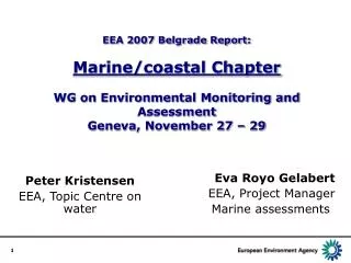 Eva Royo Gelabert EEA, Project Manager Marine assessments