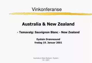 vinkonferanse