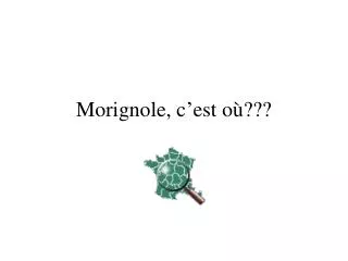 morignole c est o