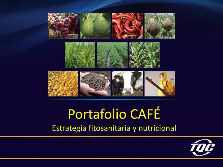 portafolio caf estrategia fitosanitaria y nutricional