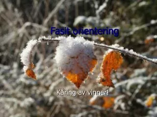 fasit orientering