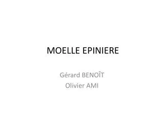 moelle epiniere