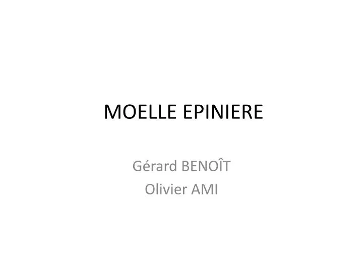 moelle epiniere