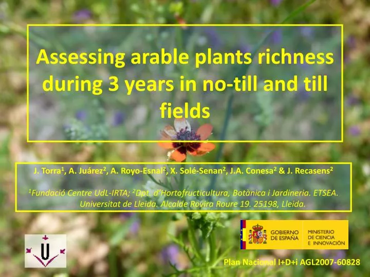 assessing arable plants richness during 3 years in no till and till fields