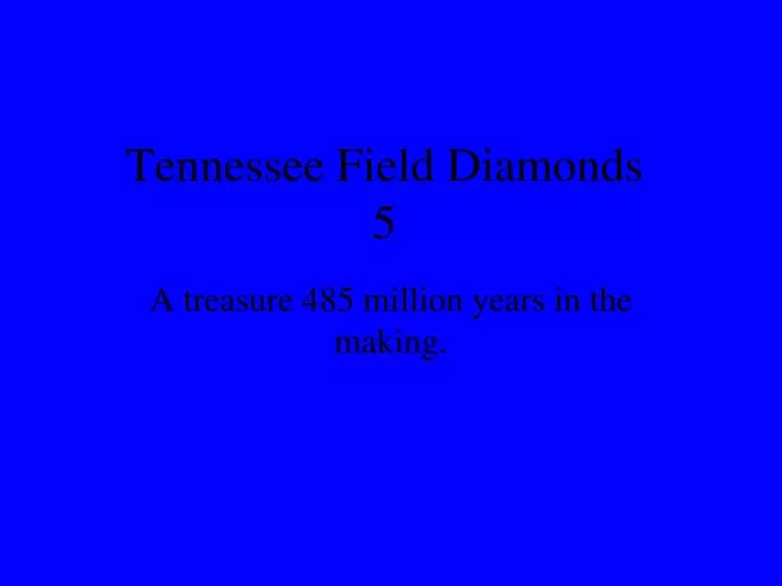 tennessee field diamonds 5