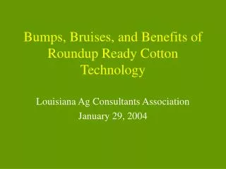 Bumps, Bruises, and Benefits of Roundup Ready Cotton Technology