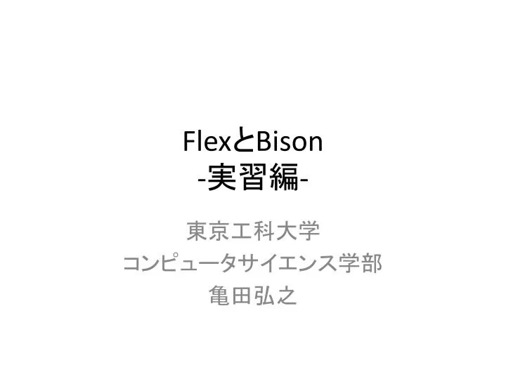 flex bison