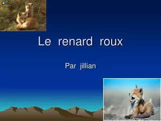 le renard roux