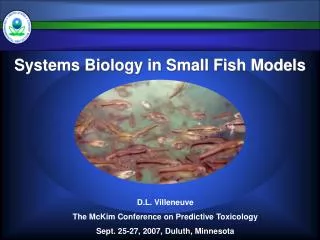 Systems Biology in Small Fish Models