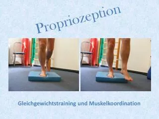 propriozeption