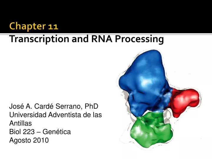 chapter 11 transcription and rna processing