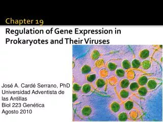Chapter 19 Regulation of Gene Expression in Prokaryotes and Their Viruses