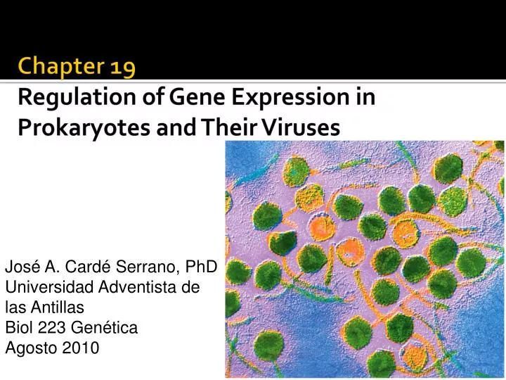 chapter 19 regulation of gene expression in prokaryotes and their viruses