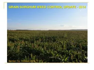 GRAIN SORGHUM WEED CONTROL UPDATE - 2014