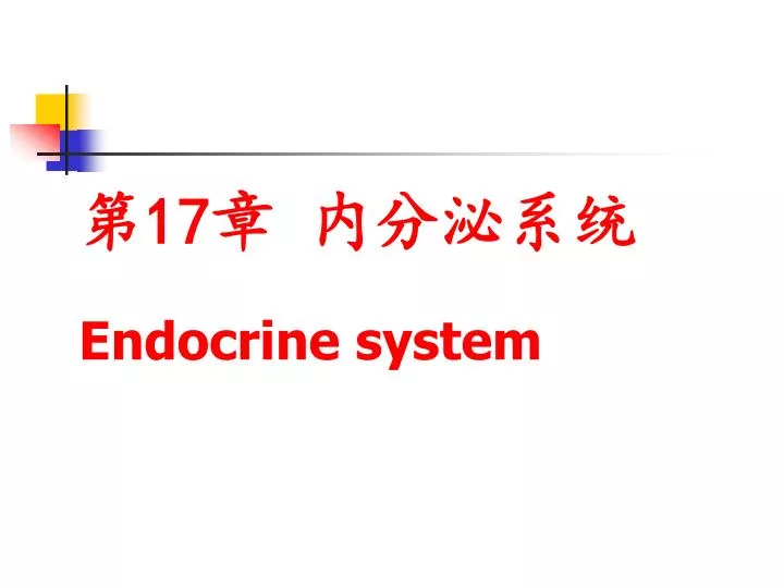 17 endocrine system