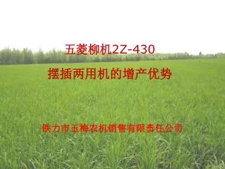 2z 430