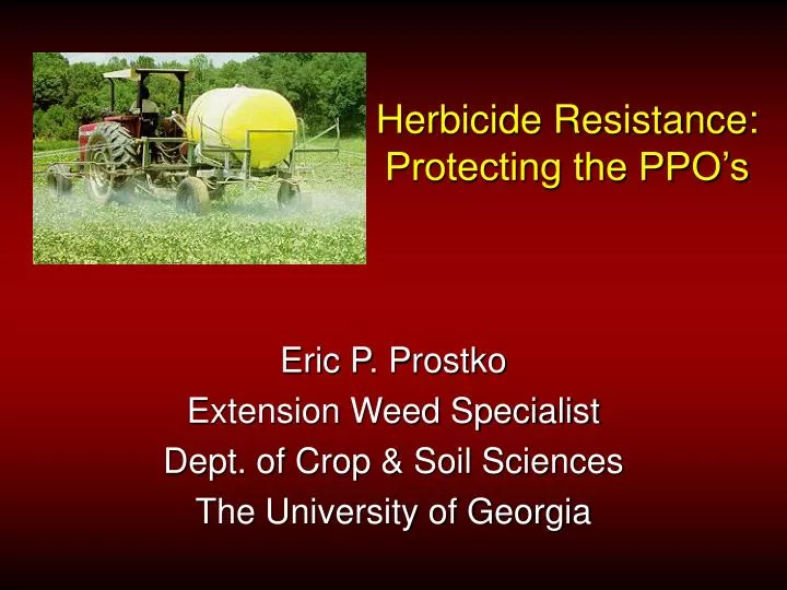 herbicide resistance protecting the ppo s