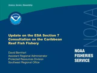 Update on the ESA Section 7 Consultation on the Caribbean Reef Fish Fishery