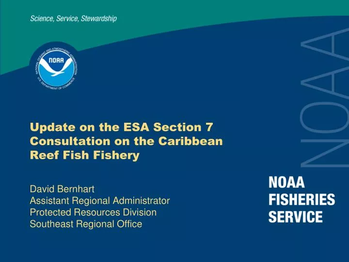 update on the esa section 7 consultation on the caribbean reef fish fishery
