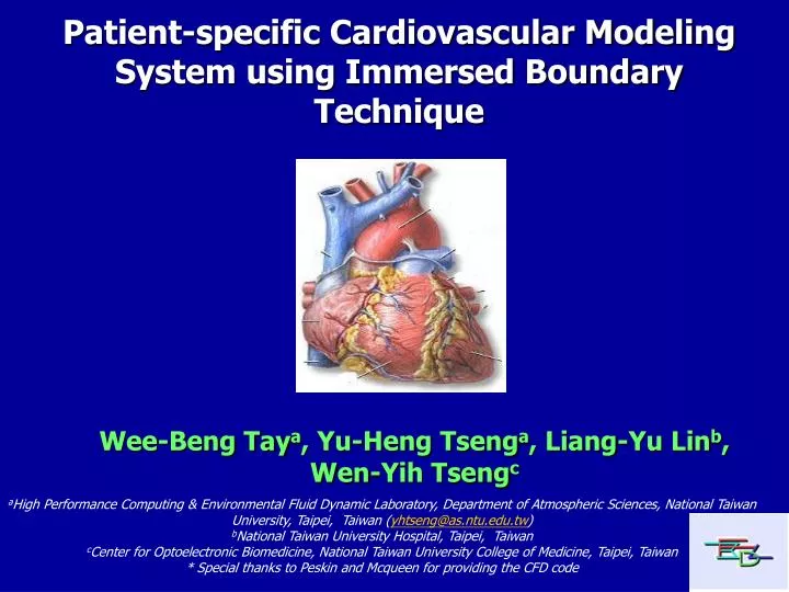 patient specific cardiovascular modeling system using immersed boundary technique