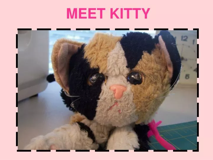 meet kitty
