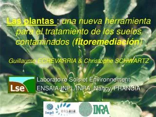 laboratoire sols et environnement ensaia inpl inra nancy francia