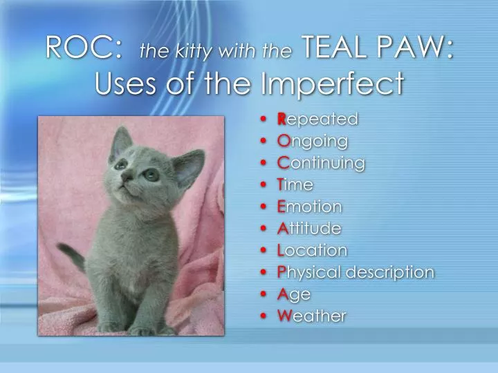 roc the kitty with the teal paw uses of the imperfect