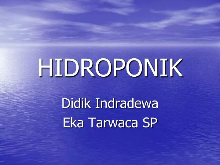 hidroponik