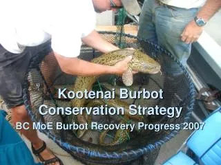 BC MoE Burbot Recovery Progress 2007