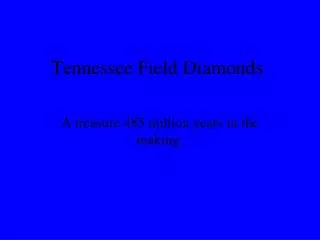 Tennessee Field Diamonds