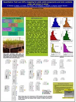 Genotyping in progeny