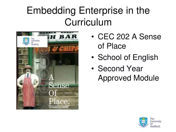 embedding enterprise in the curriculum