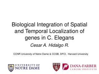Biological Integration of Spatial and Temporal Localization of genes in C. Elegans