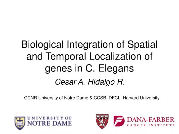 biological integration of spatial and temporal localization of genes in c elegans