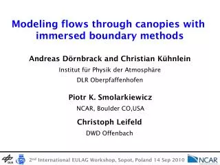 Modeling flows through canopies with immersed boundary methods