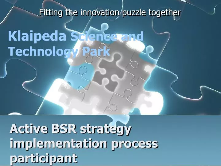 active bsr strategy implementation process participant