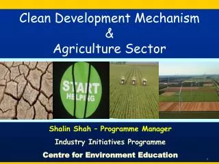 Clean Development Mechanism &amp; Agriculture Sector